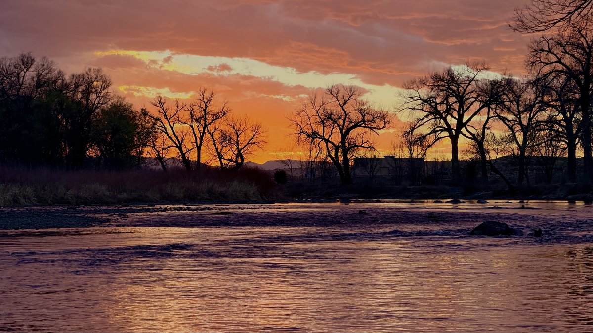 Arkansas River at Pueblo at sunset — cottonwood silhouettes along the tailwater