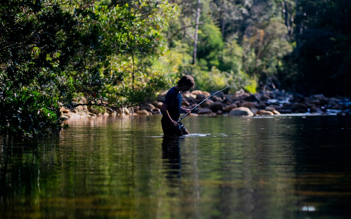 Fly angler wading waist-deep in flat, clear tailwater, rod bent into the drift with a forested bank and boulders behind