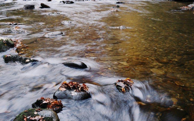 Clear tailwater current breaking over rocks — the seams where trout feed (photo: Unsplash)