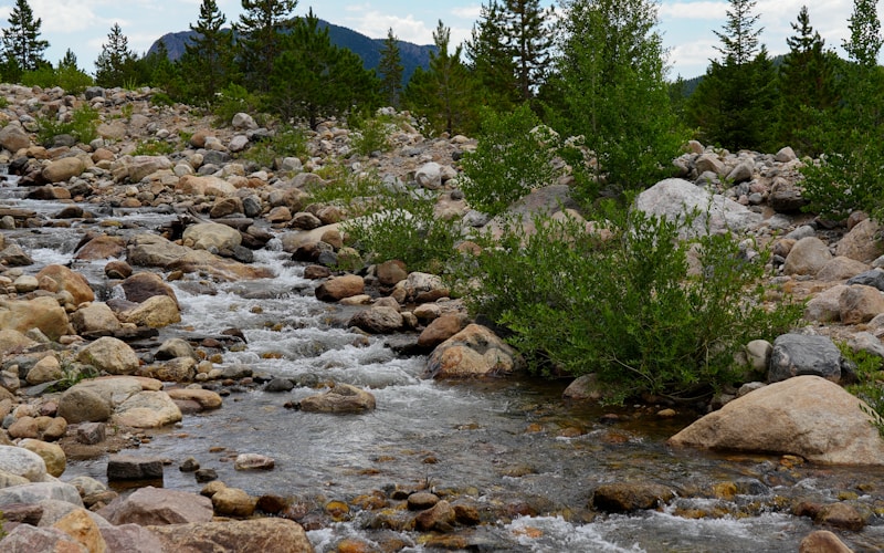 A high-country freestone creek tumbling through a boulder field and willow scrub, dark conifers and a rocky peak behind