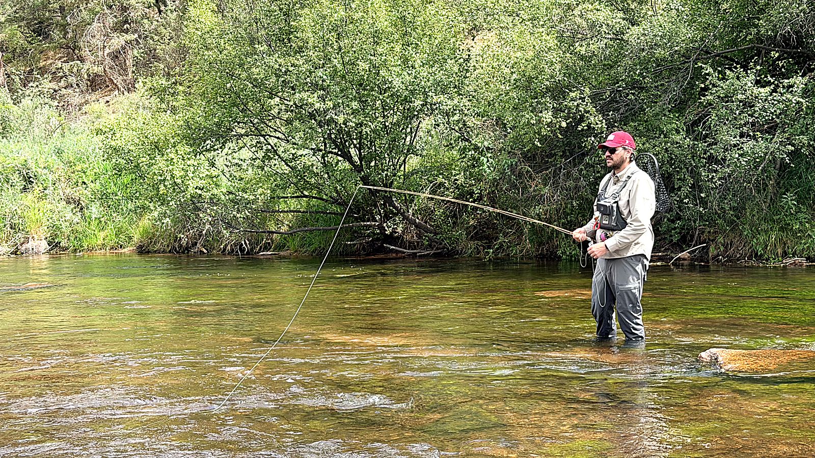 Me fishing the Headwaters Gallatin at Deckers — blonde cane held out low at the end of the delivery, the line laid out across a shallow green South Platte riffle, willows crowding the far bank