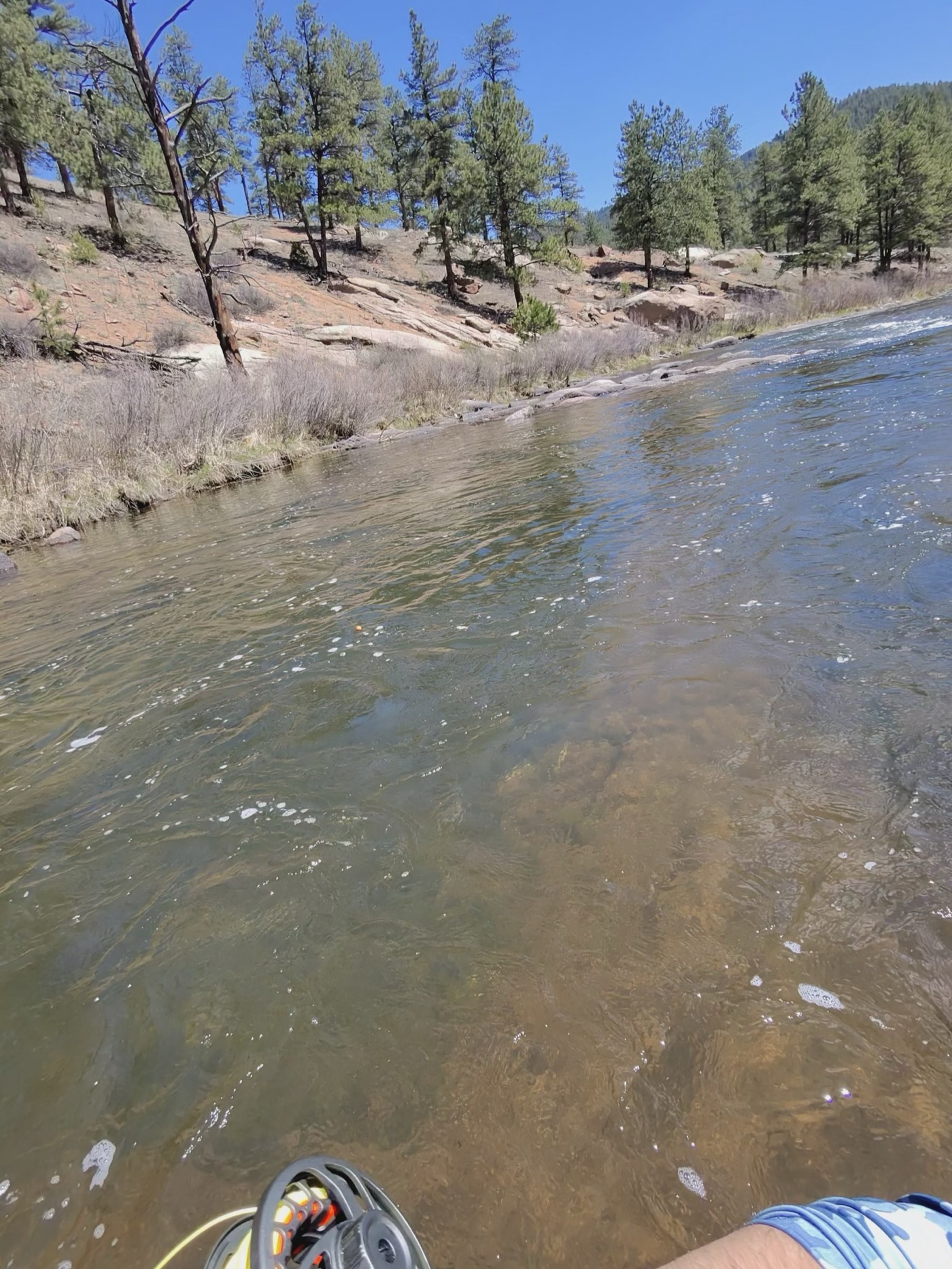 My everyday graphite setup — the reel loaded with line over orange backing, held out over a clear South Platte canyon run