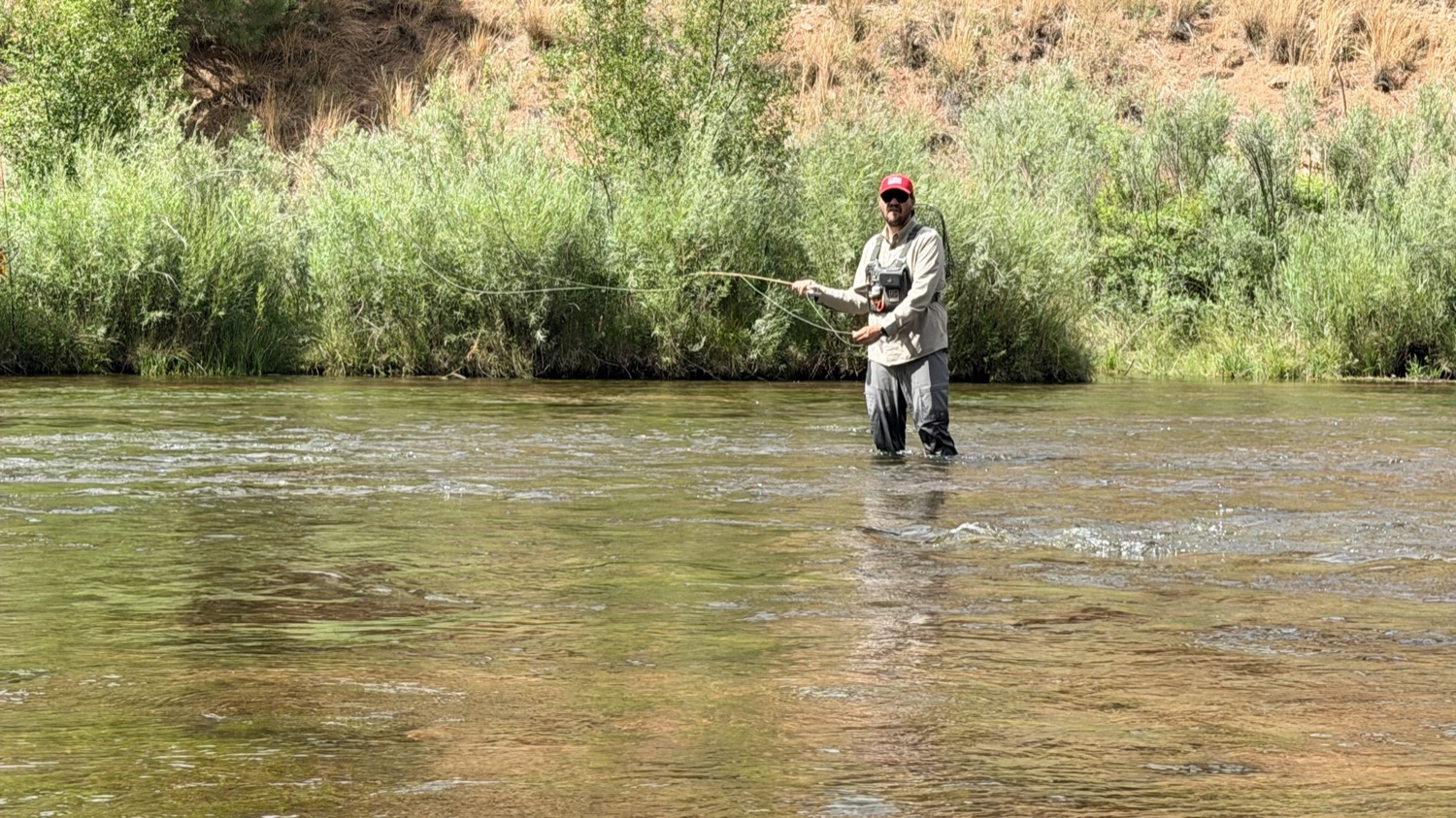 A cast turning over on a clear South Platte run — a well-built tapered leader is what lays the tippet and fly out straight instead of in a pile