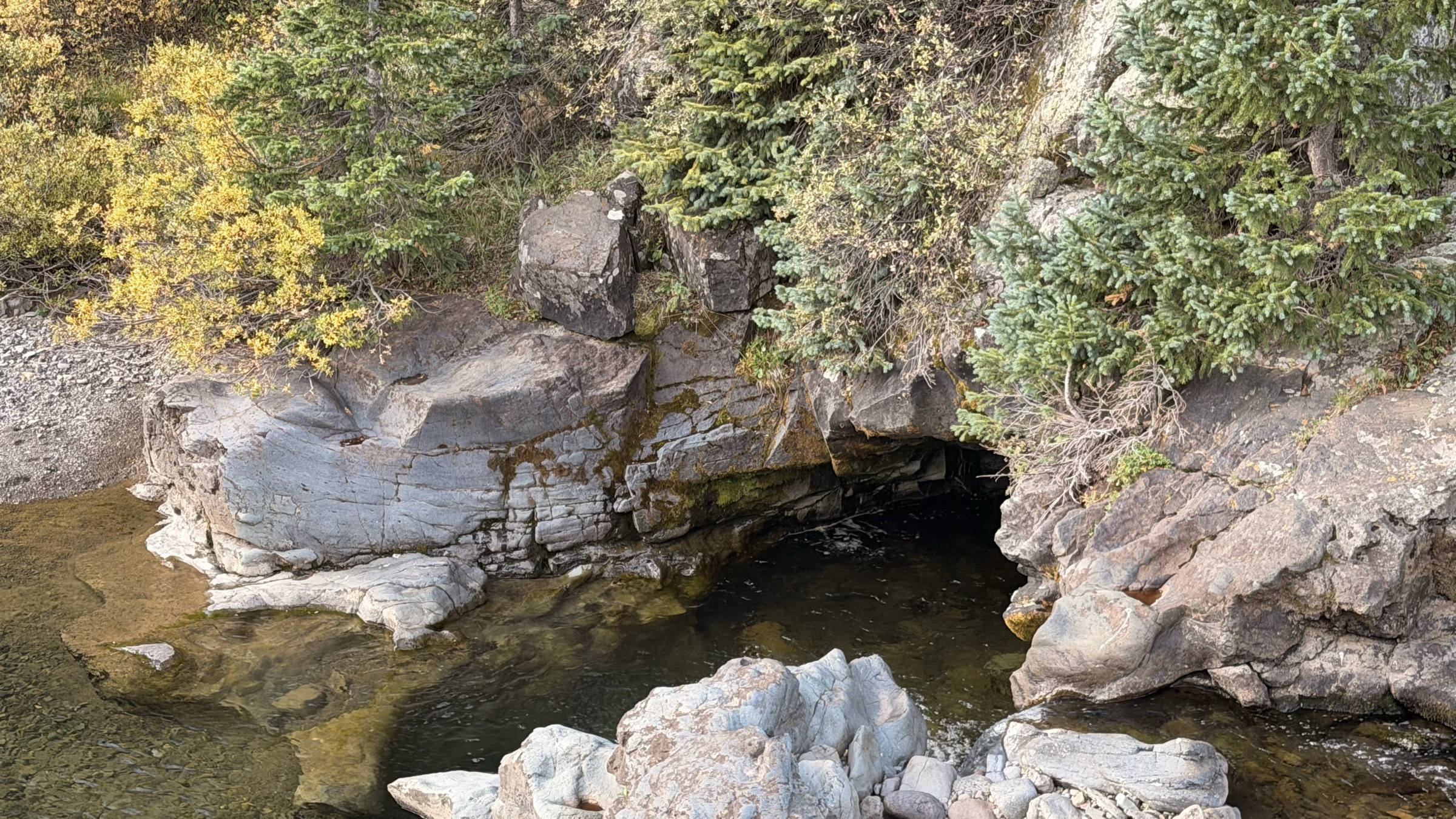 A deep undercut pool on a small Colorado tailwater — the kind of slot where a two-fly rig samples different depths, anchor near the bottom and dropper in the holding water just above