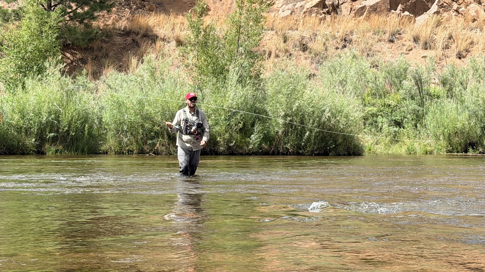 A wide Colorado tailwater running out through ponderosa and red rock — the kind of open western water every fly-fishing film opens on, and the one thing they all get right