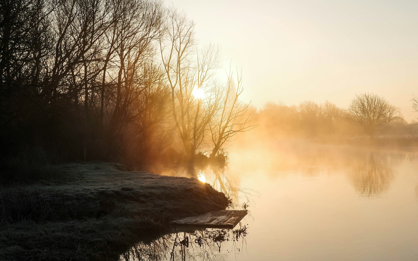 Golden mist over dead-flat water at sunrise, frost on the bank grass and bare trees along the far shore