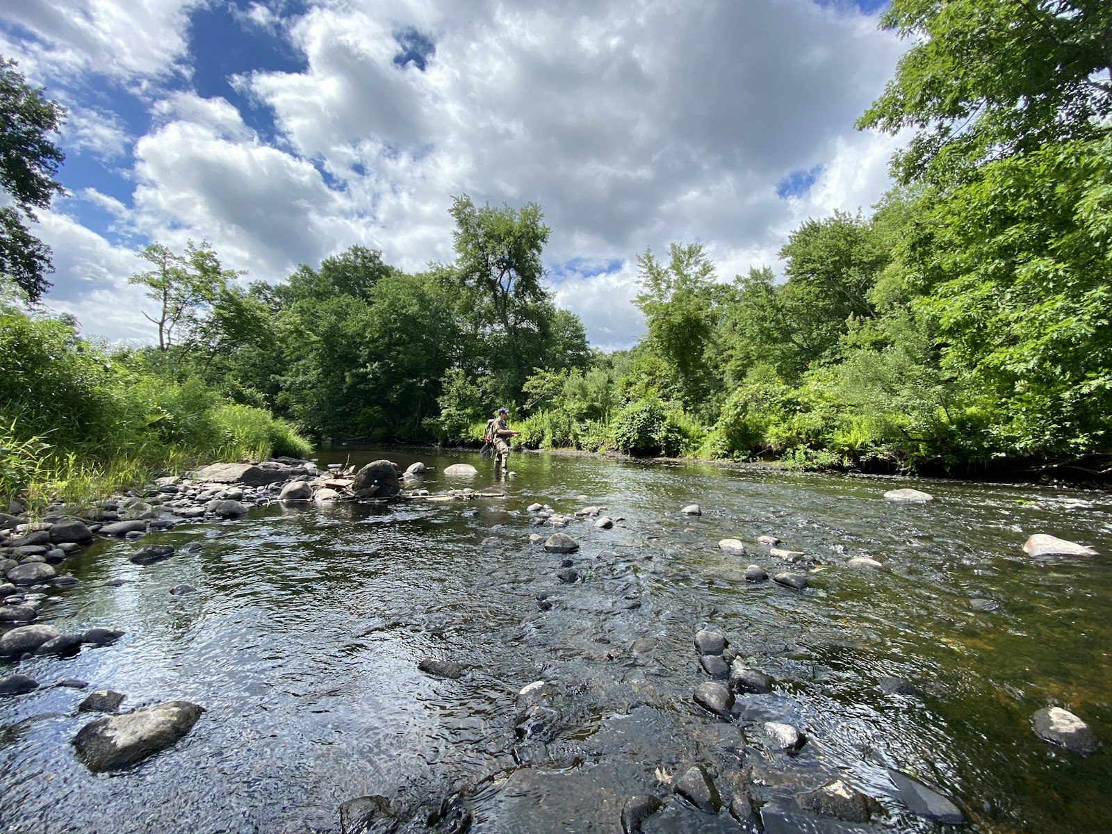 A shallow river run photographed from water level, cobble and boulders clearly visible through the current, an angler wading well upstream under a summer sky