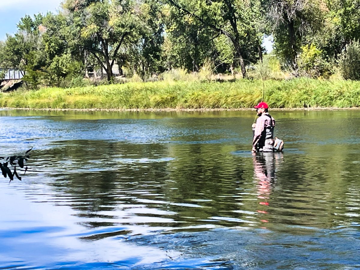 Renato Vanzella fly fishing the Arkansas River — quiver in hand