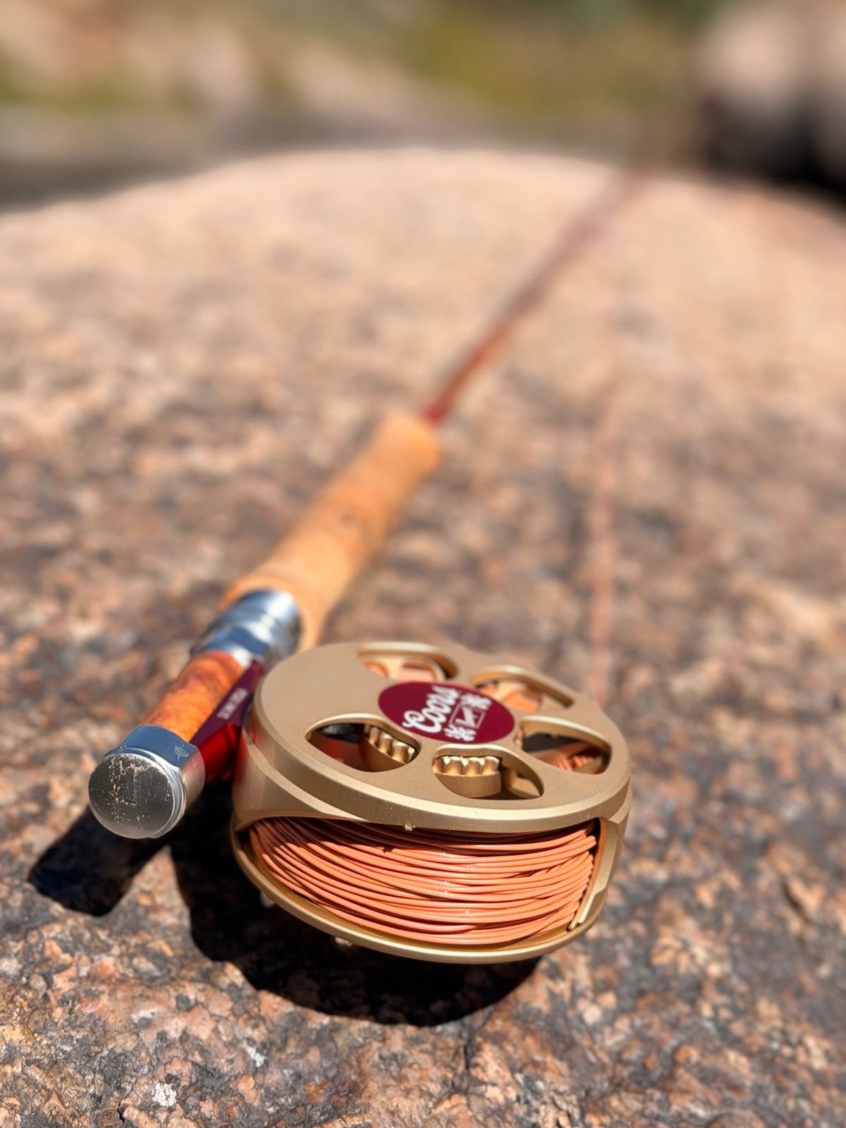 Close-up of the Coors Banquet Cimarron Creek: buff Coors-gold anodizing, the red Coors circle in the center, and orange fly line on the spool, seated on the Madison's burled-maple reel seat.