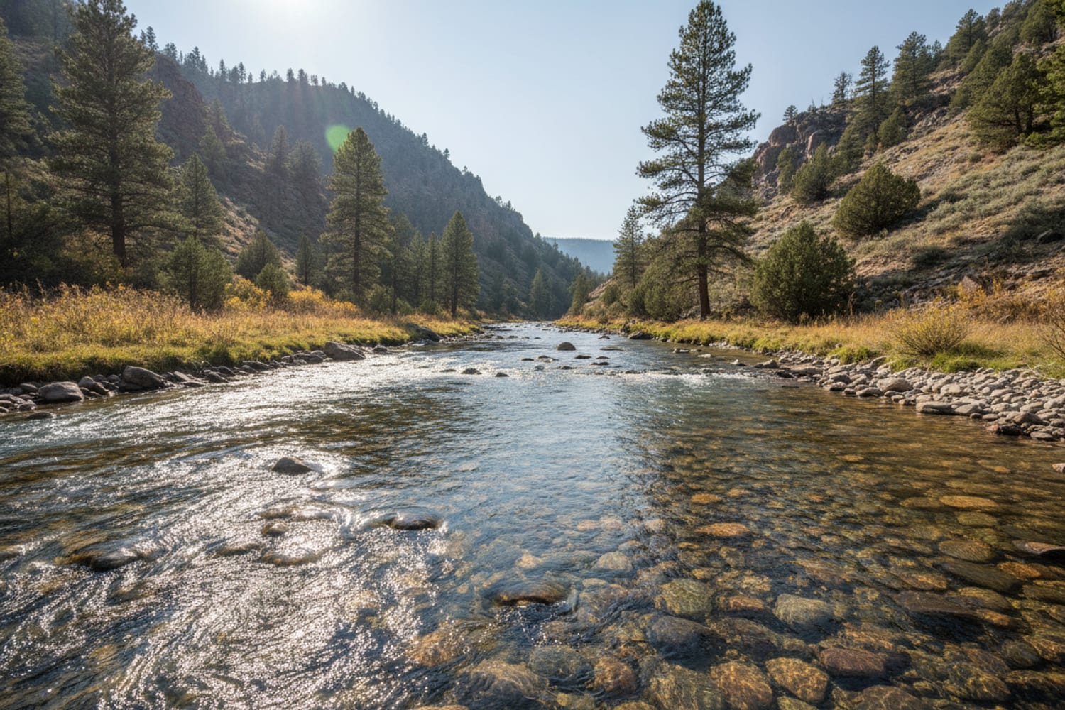 A clear South Platte tailwater run over cobble between low pine-dotted canyon slopes