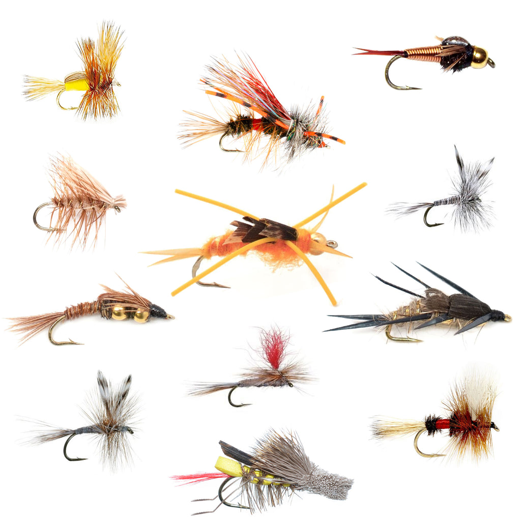 The Fly Fishing Place Western Trout Fly Assortment — a dozen South Platte-ready trout dries and nymphs for about $23 (photo: The Fly Fishing Place)